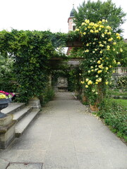 Obraz premium stone path in the garden