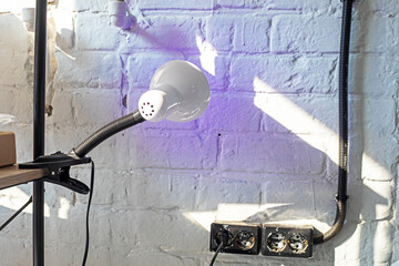 light bulb with purple light on a stylish modern loft wall with sockets. Operation and safety of...
