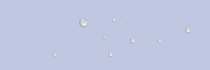 Rain water drops falling on transparent background. Realistic clear water, water drops for creative banner design. Vector.