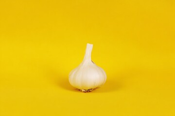 Garlic bulb on sunny yellow backdrop