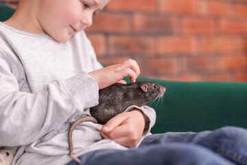 Little boy with his pet rat on sofa at home, closeup. Space for text