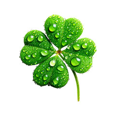 four leaf clover isolated