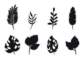 Hand drawing of black Leaves Collection, leaves isolated on white background, Vector illustration