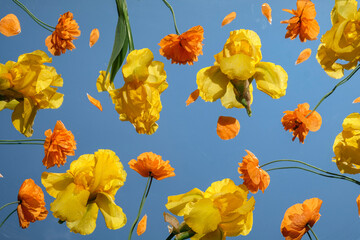 Fototapety na wymiar - Fototapeta24.pl