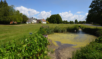  Village pond and green Barrington Cambridgeshire.