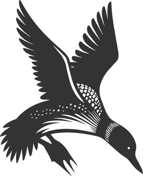 Vector bird loon wildlife animal drawing silhouette