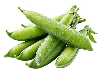Outdoor harvest fresh green peas