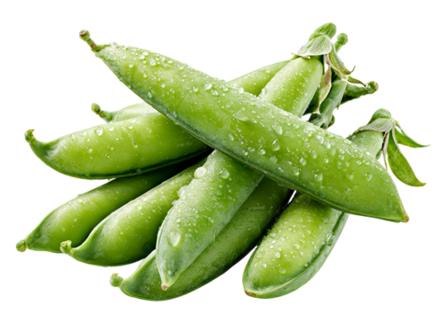 Outdoor harvest fresh green peas