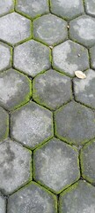 old mossy concrete blocks
