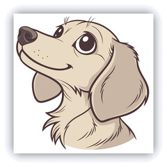 Colorful Pet shop banners for social media posts with cute cat. Dog grooming template. Vector cartoon illustration for your design