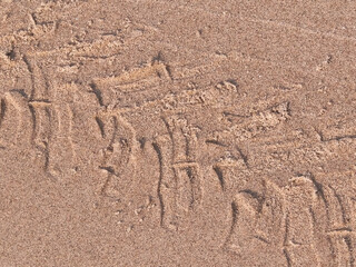 Tire track on sand of desert or beach.
