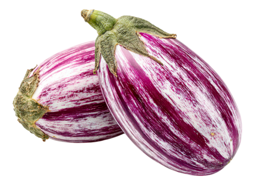 Purple and white striped eggplant