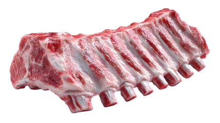 Realistic 3D render of pork ribs, baby back style, crisp marbling