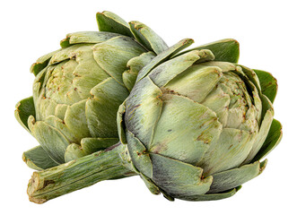 Obraz premium Set artichokes green