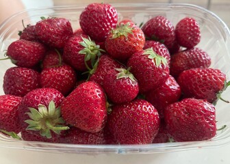 strawberries in a basket