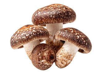Shiitake Mushrooms Whole