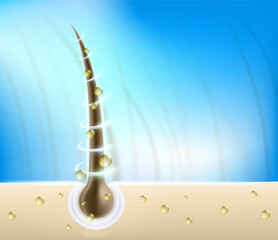 Healthy human hair close-up. Hair follicle and root care. Vector illustration