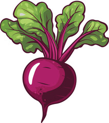 Vibrant Beetroot Illustration: A captivating graphic of a beetroot, exuding freshness and vitality, complete with its lush green leaves, ready to enhance any design.