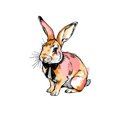 Cute drawn rabbit with bow tie on white background for playful design