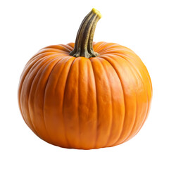 Obraz premium Vibrant Orange Pumpkin: Perfect for Fall Recipes and Decorations