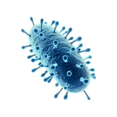 Salmonella bacterium flagella are only in the lower png