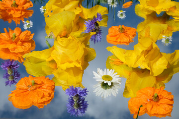 Fototapety na wymiar - Fototapeta24.pl