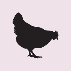 vector illustration of a chicken