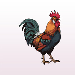vector illustration of a rooster on a pink background	
