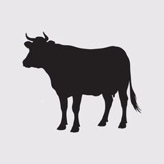 vector silhouette of cow on white background
