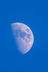 Waxing gibbous moon in a deep blue evening sky. Detailed surface texture captured through a telescope. Peaceful and minimalist night sky astronomy scene.
