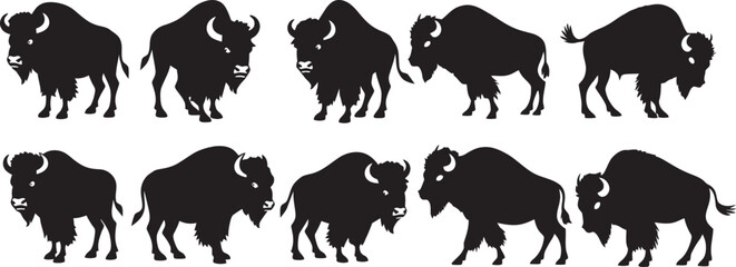 Fototapeta premium Vector collection of diverse buffalo poses. 