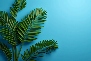 Collection of tropical leaves,foliage plant in green color with space background