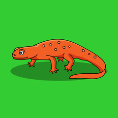 orange newt salamander cute illustration
