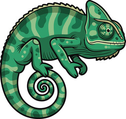 Chameleon on a white background