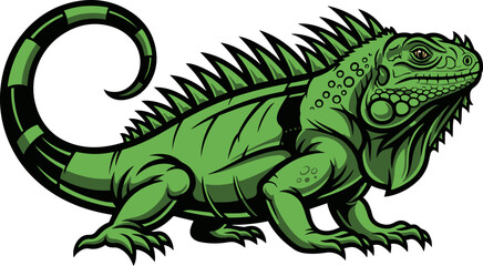 Green iguana