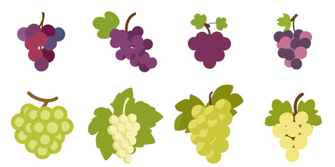 Multiple vector illustrations grape, flat style
