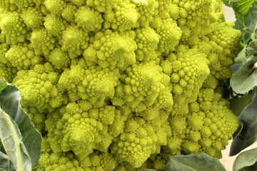 Romanesco Brokkoli