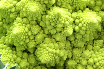 Romanesco Brokkoli
