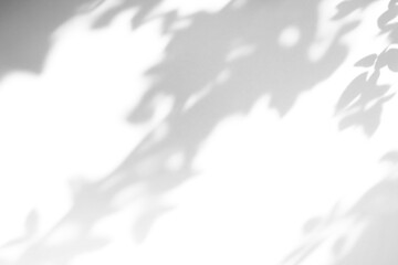 shadow overlay effects of realistic abstract natural tree leaves shadow on wall background,Summer sunlight and shadow overlay effect,shadow for photo interior backdrop studio mockup
