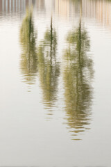 Obraz premium abstract reflections in water featuring clean geometric shapes creating serene atmosphere