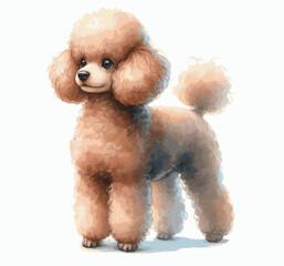  Cloudsculpt Flow dog poodle isolated watercolor vector illustration svg