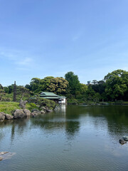 Garden View in Japan