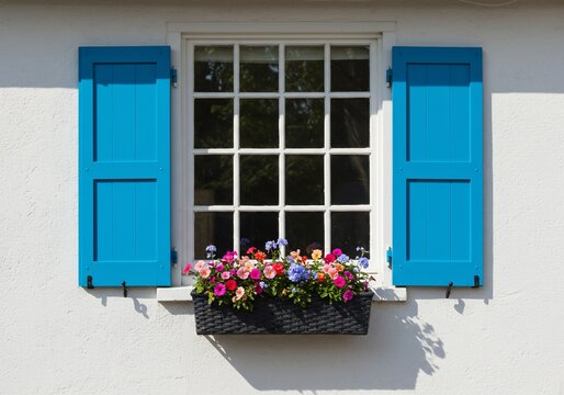 Bright window with blue shutters, flowers, adds charm, architecture, spring, home