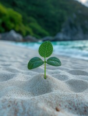 resilient seedling growing in sand on tropical beach