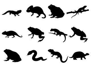 vertebrate animal silhouette vector set