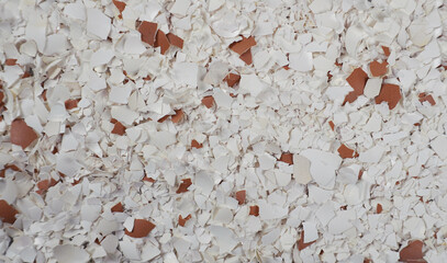 Eggshells, crushed fTop view of an eggshell, crushed for fertilization and use in gardening.
A...