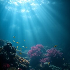underwater view of a coral reef