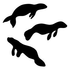 Manatee silhouette set, black hand drawn flat vector illustration of a Manatee, Manatee logo, marine life