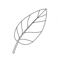 Against a stark white backdrop, simple one line drawing depicts single, pointed leaf with detailed veins branching from its central stem.