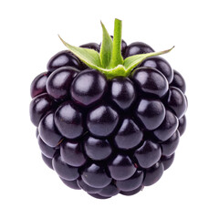 blackberry isolate background